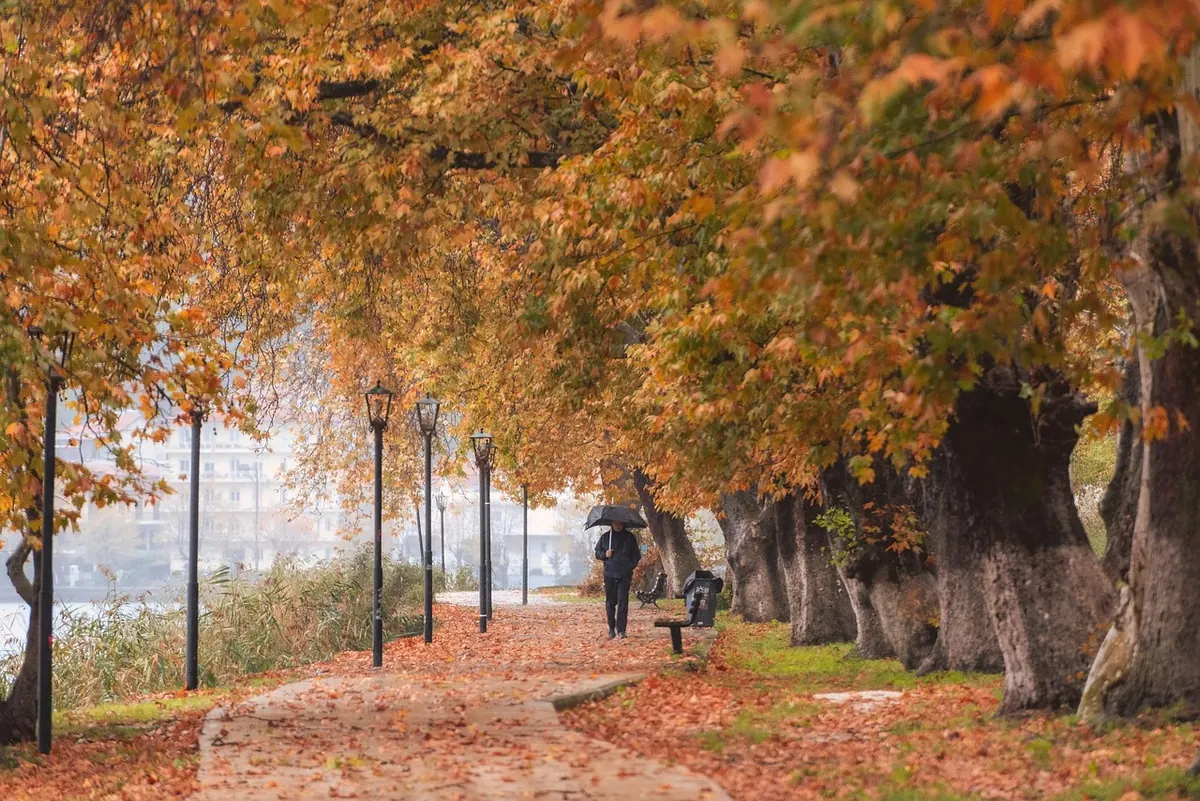 Autumn Inspiration: 12 Creative Prompts from Falling Leaves and Darker Evenings